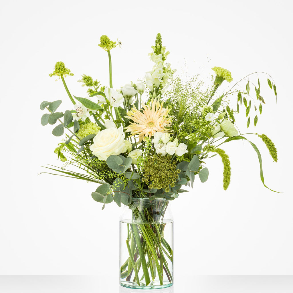 Lovely white / 10201107