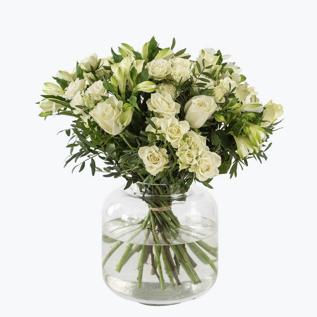 Classic Celebration 242611 / 242611