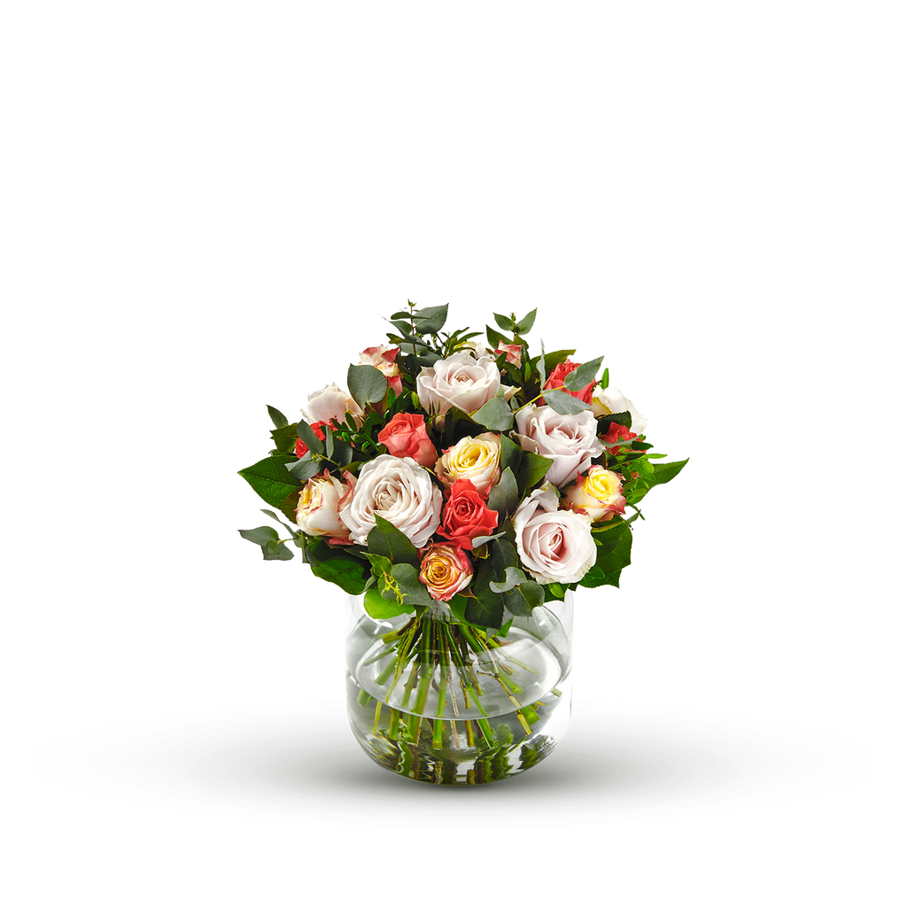Rosa / 010049