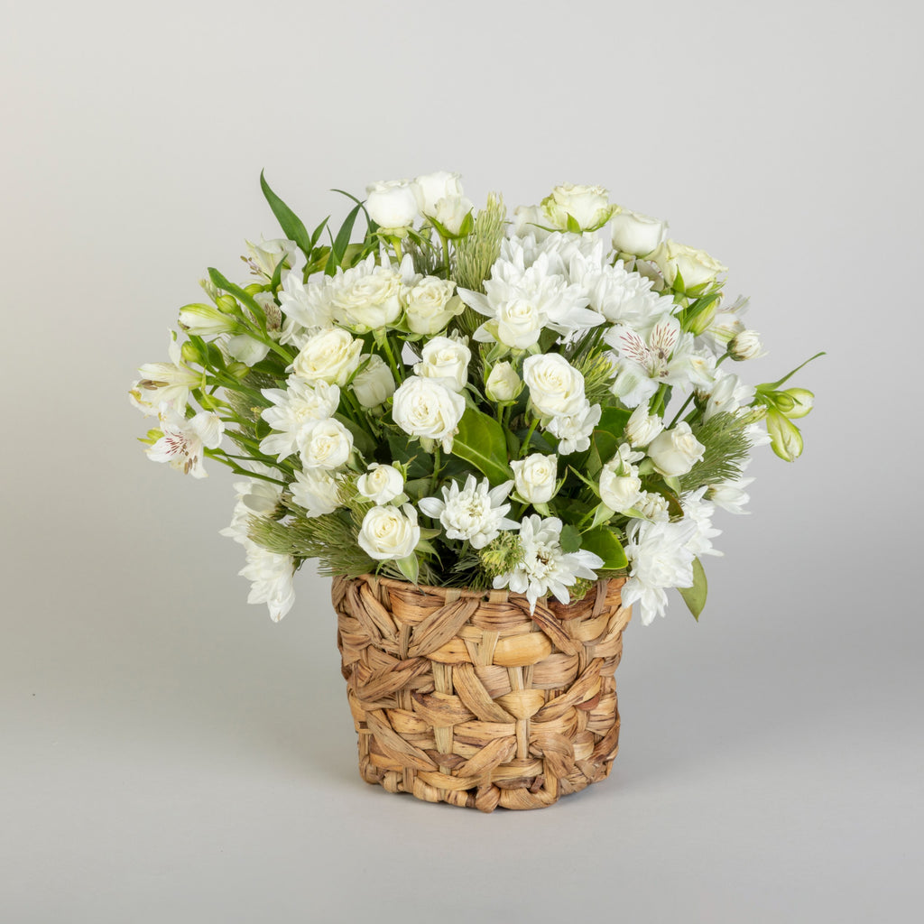 Sympathy Rose Basket / YR003