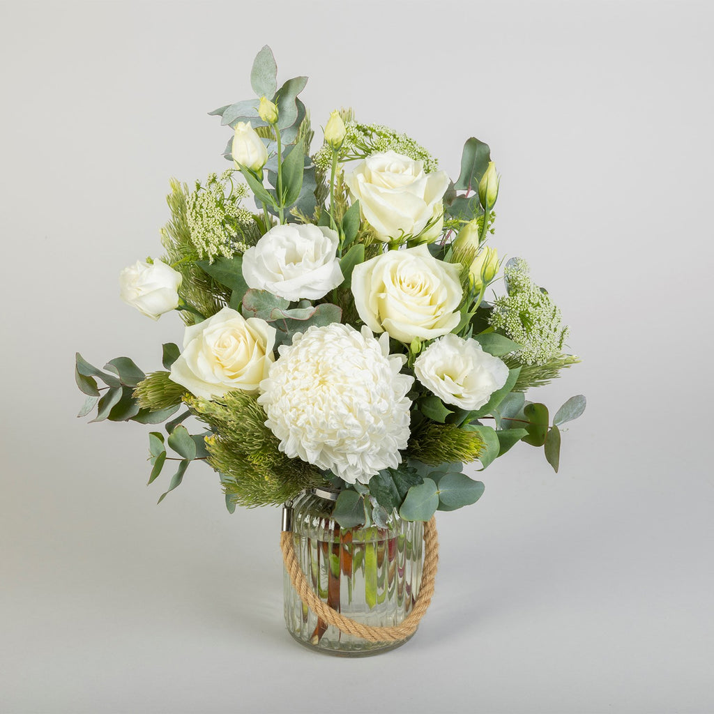 Classique Rose / YR019