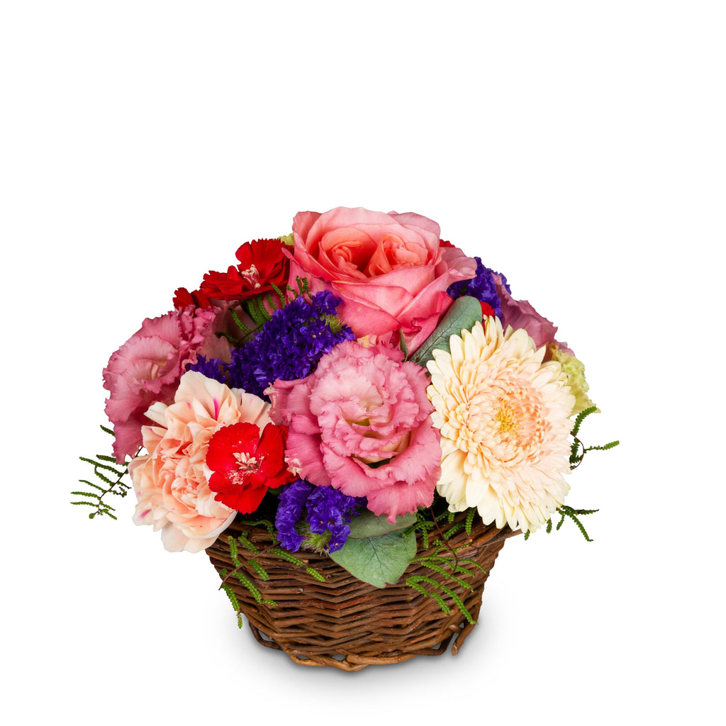 Basketarrangement Melody of Color / ATN82285