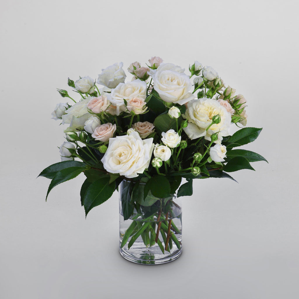 White and Pink Roses / VG007