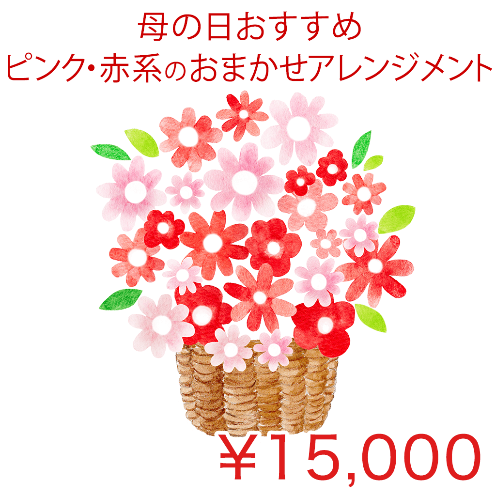 母の日用ピンク・赤系のおまかせアレンジメント Basic 商品金額オプションあり/ IT01ABM