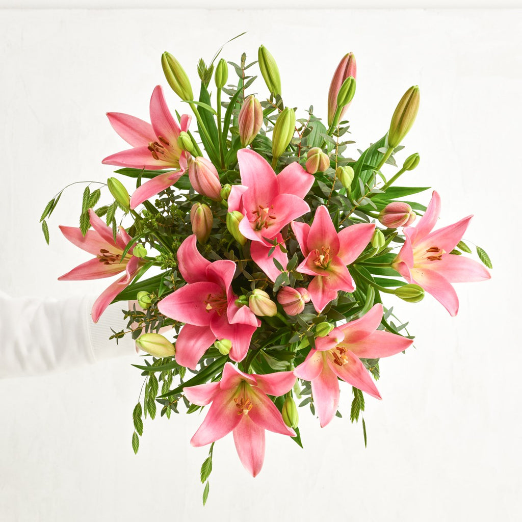 The Pink Lillies / DK6284
