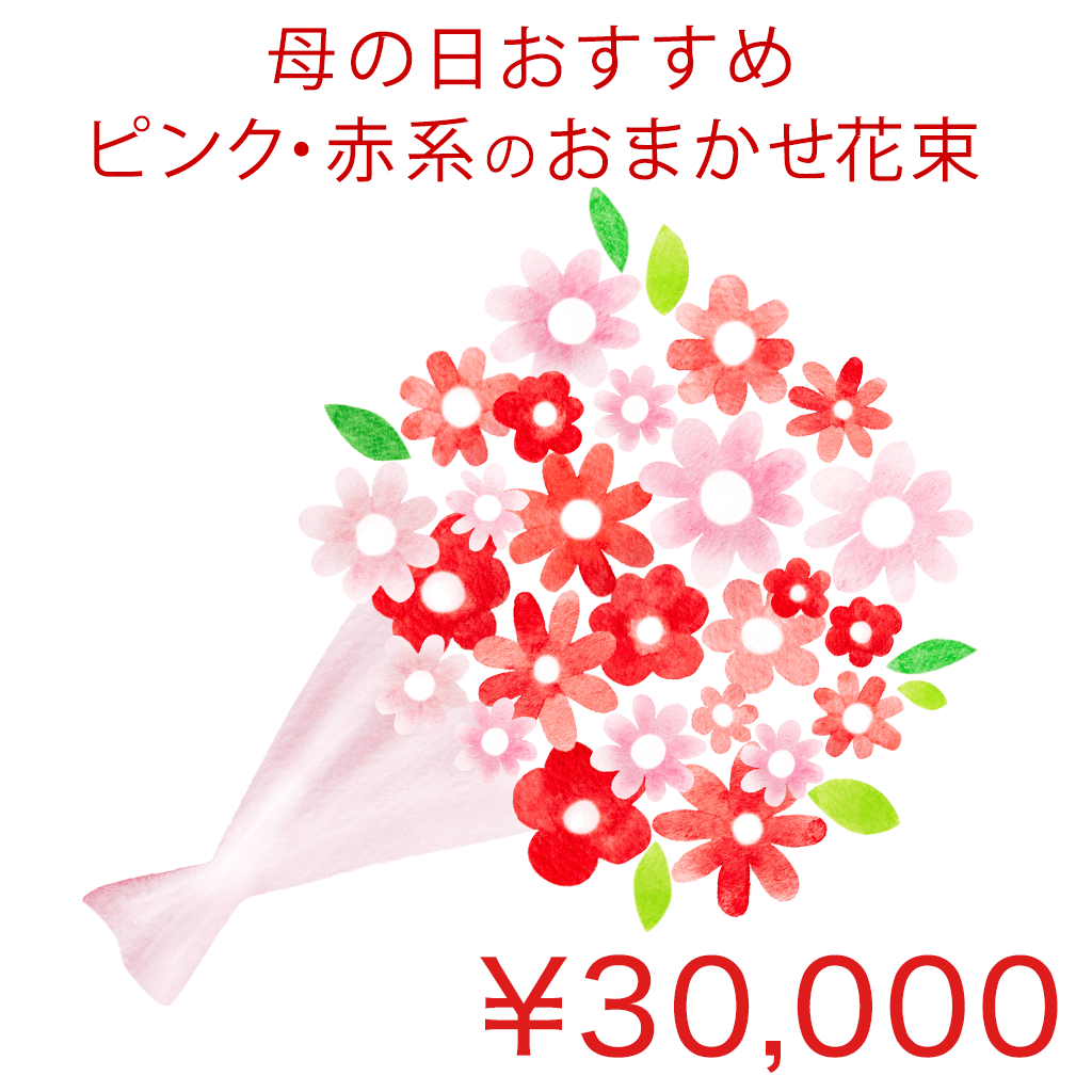 母の日用ピンク・赤系のおまかせ花束 Premium 商品金額オプションあり/ CN01HPM